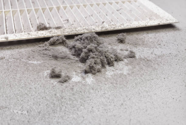 Best Air Duct Mold Removal  in Walkersville, MD