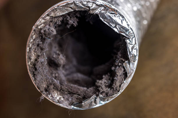 Best Duct Cleaning for Homes  in Walkersville, MD