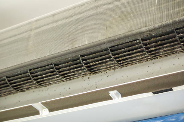 Air Duct Mold Removal in MD